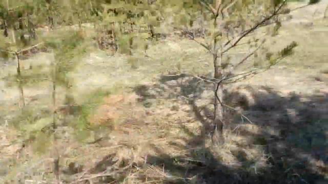 снова по полям ищем металлолом смотреть онлайн