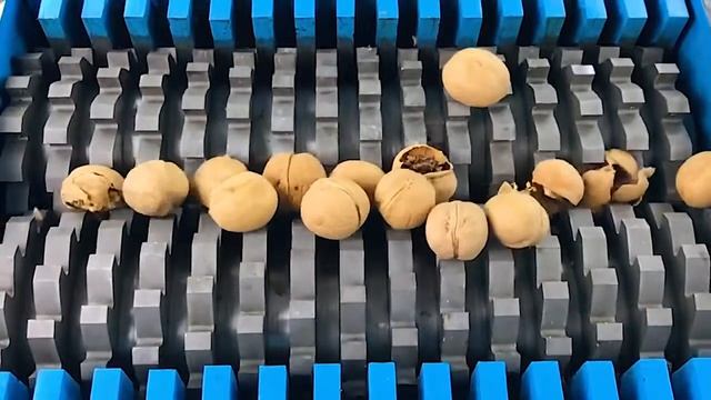 ГРЕЦКИЙ ОРЕХ В ДРОБИЛКЕ | ЭКСПЕРИМЕНТ смотреть онлайн