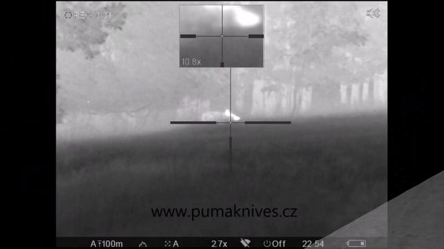 PULSAR Trail XQ50 sestřih z lovu - Hunting compilation - охота на диких кабанов смотреть онлайн