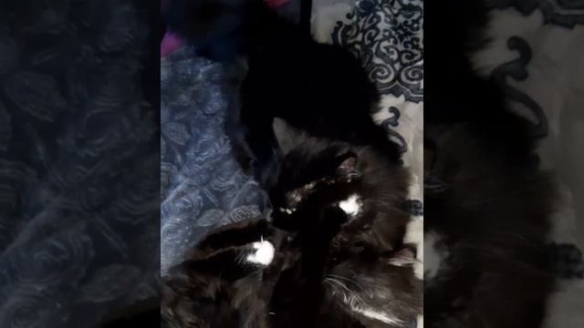 Это любовь такая головоломка смотреть онлайн