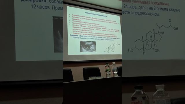 Гепатопротектори. Доказова медицина. смотреть онлайн