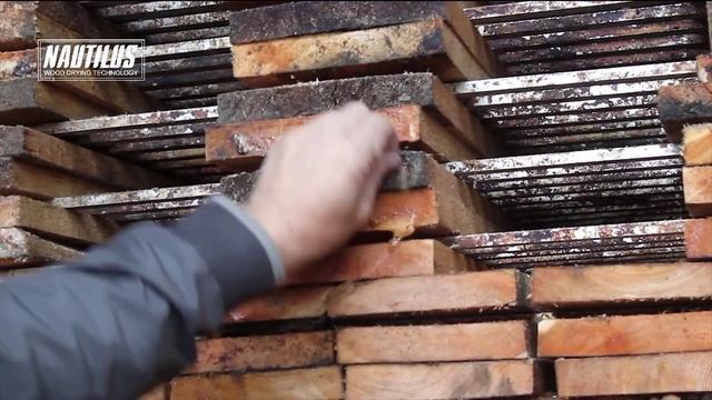 Вакуумная сушильная камера для древесины. Сушка доски за 48 часов! смотреть онлайн