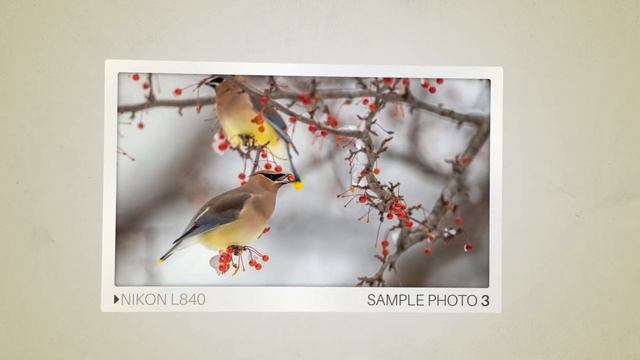 Nikon L840 vs Samsung WB1100F: Which Camera Is Better? (With Ratings & Sample Footage) смотреть онлайн