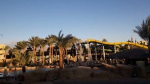 Отель Риф Оазис бич Резорт 29.01.2021 Шарм эль Шейх Египет