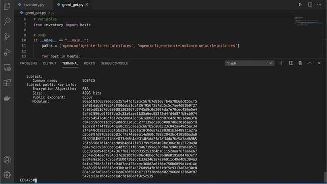 pygnmi. Demo of using self-signed certificates смотреть онлайн