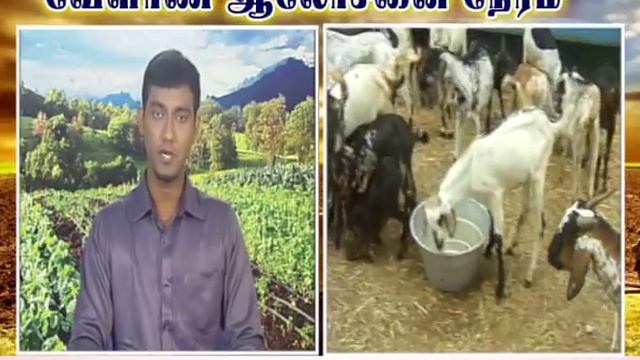 Pon Vilaiyum Bhoomi 02/01/2018 смотреть онлайн