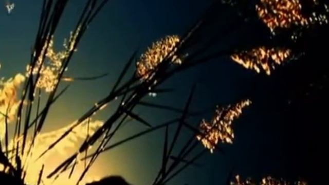 РЯБИНУШКА смотреть онлайн