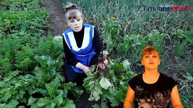 В ОДНОМ ВИДЕО! От семян к большому урожаю свеклы.