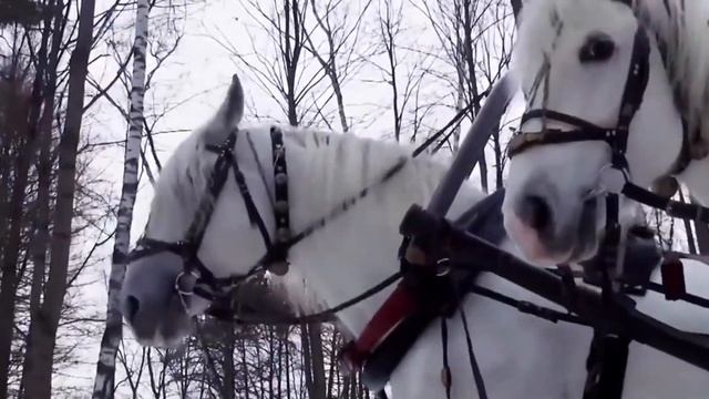 романс "Однозвучно гремит колокольчик". (песнь ямщика) Traditional russian folk song. смотреть онлайн