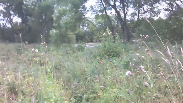 Рогнеда у пруда сзади дома смотреть онлайн