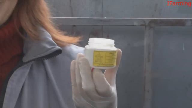 Эффективность применения пасты для предупреждения роста рогов у телят «Хромос АР» смотреть онлайн