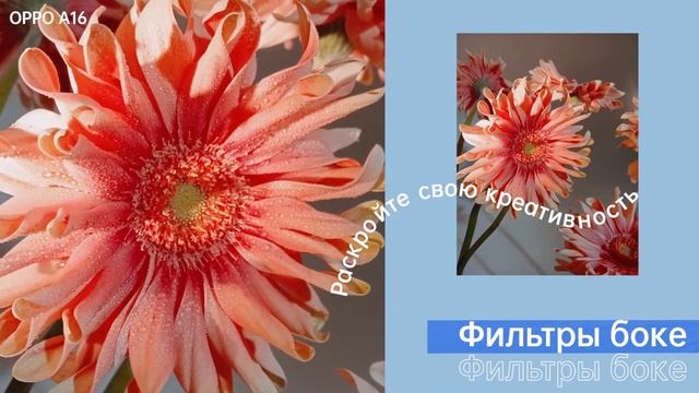 OPPO A16 full video RUS 1 смотреть онлайн