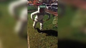 ДНД Мемы из TikTok - Сколько стоит?