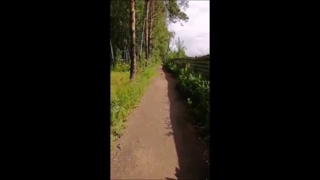 Путь в СНТ Дары природы на объект Мосрентген от м РУМЯНЦЕВО 1,7 км смотреть онлайн