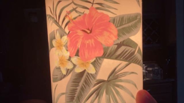 BOTANICAL WARMERS: PRETTY IN PARADISE AND ALOE VERA смотреть онлайн