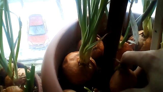 Стройка Практик