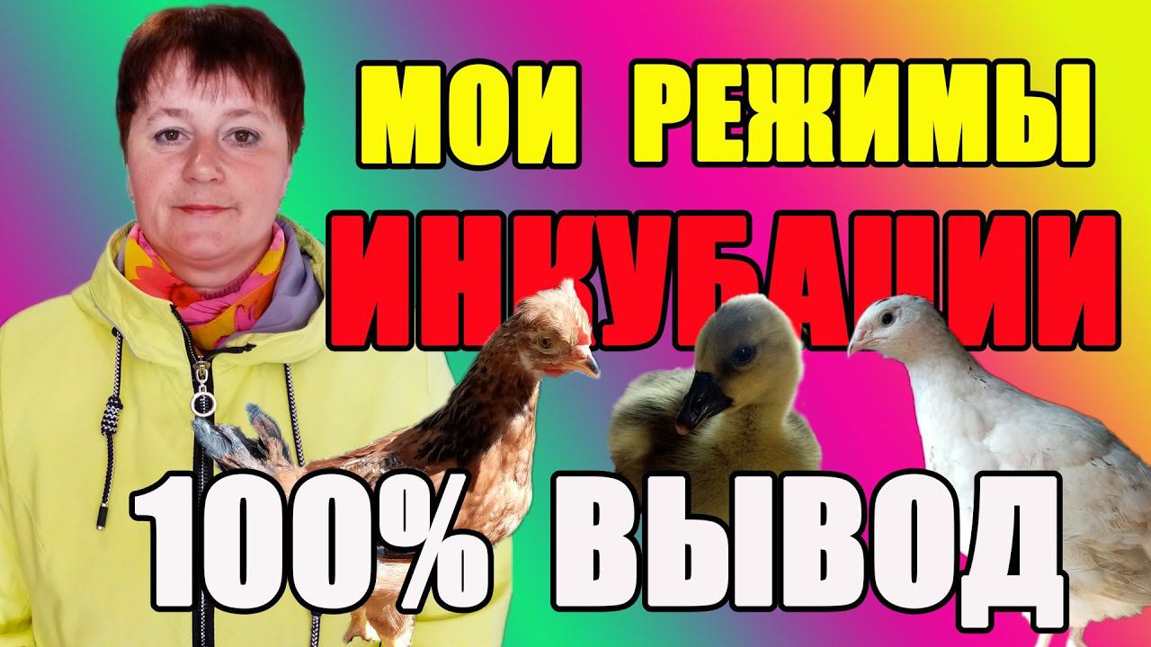 СВЕТЛАНА ЛУСТИНА