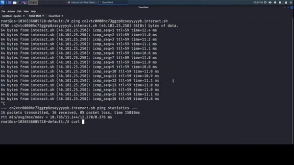 How to use Interactsh Client | Open-source Burp Collaborator alternative