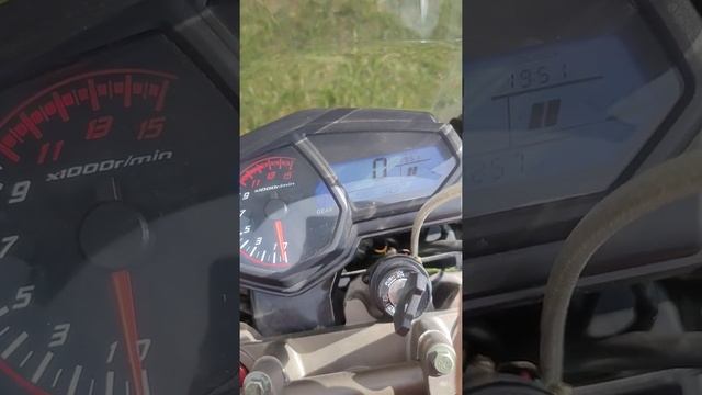 Shineray Fireguard 250