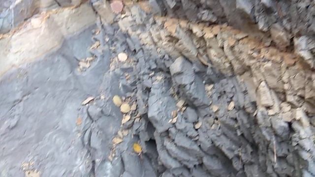 Ирбиту опять Посчастливилось! Найдено месторождение Голубой Кембрийской Глины, возрастом 550млн лет смотреть онлайн