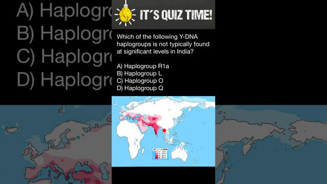 Which of the Y-DNA haplogroups is not typically found at significant levels in India? смотреть онлайн
