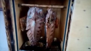 Холодное копчение толстолобика и не только...How to smoke fish ft home.