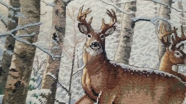 Зимние Олени от Dimensions смотреть онлайн