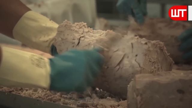How Tuna Fish Is Caught & Processed | How It's Made Canned Tuna смотреть онлайн