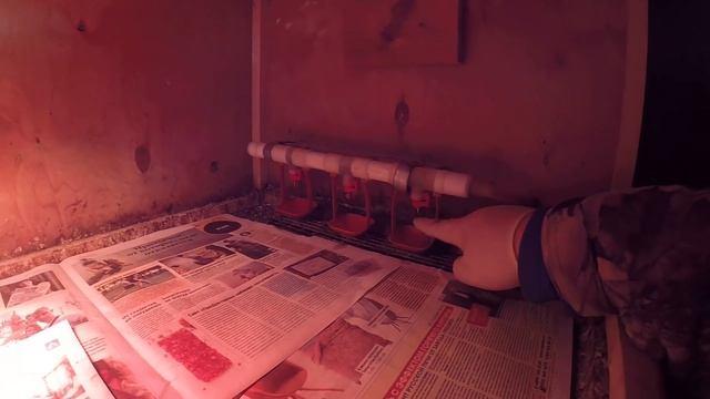 КРОЛИКИ 48 ЧАСОВ выживание содержание дом в деревне крольчата смотреть онлайн