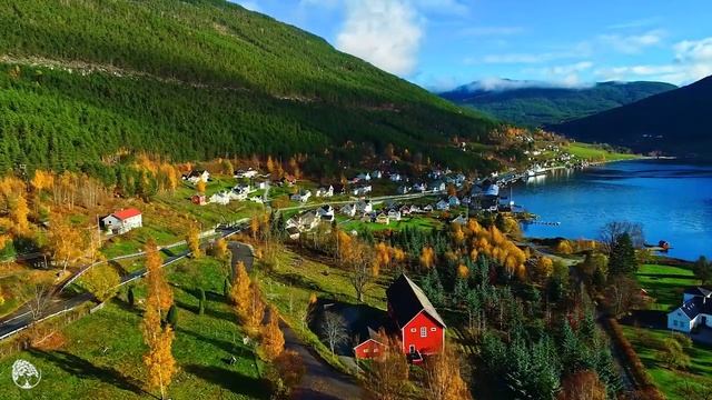 Музыка лечит сердце и сосуды? Успокаивающая музыка восстанавливает нервную систему,расслабляющая #1 смотреть онлайн