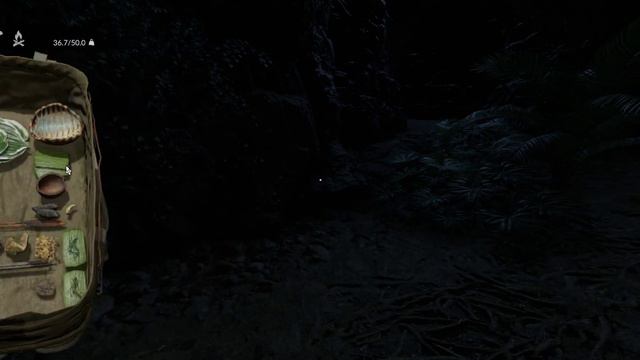 How to heal wounded tribe member in Green hell. With a surprise guest. смотреть онлайн