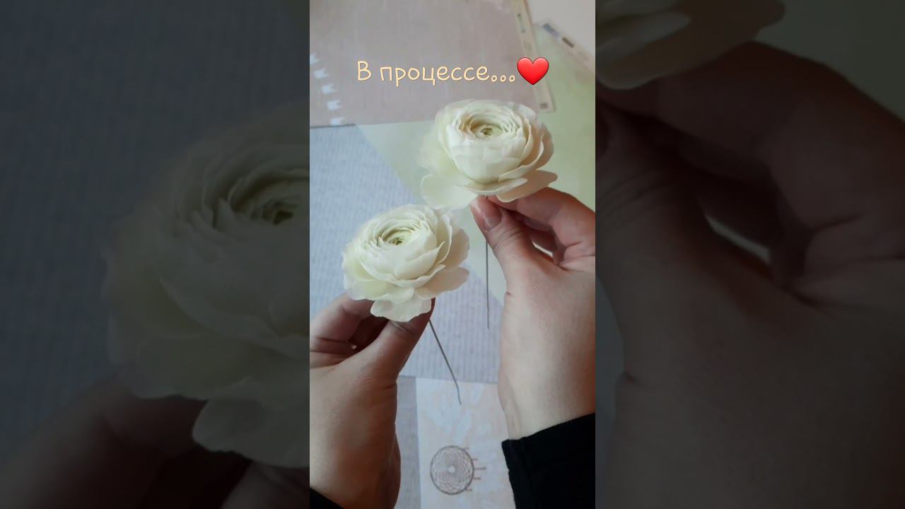 Мои ранункулюсы  Создавай цветы вместе со мной на моем канале⚘