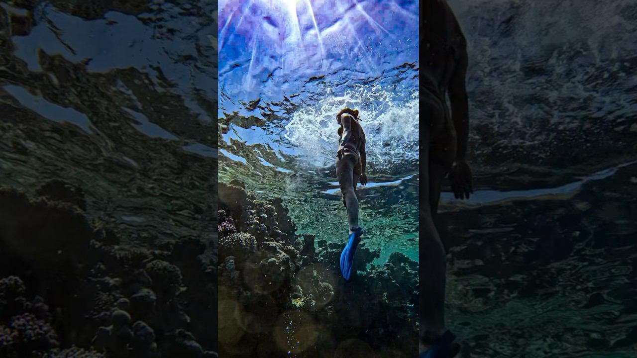 Что скрывает красное море? #фридайвинг #freediving #underwater #gopro #apnea смотреть онлайн