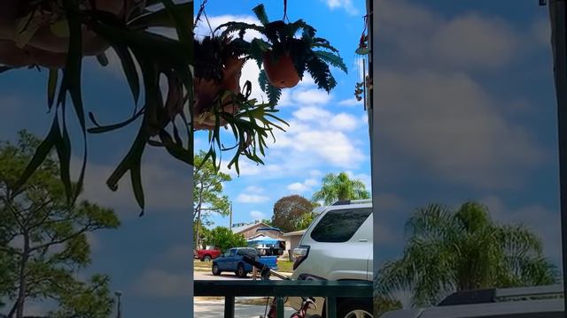 🔴 ПОВЕРИЛА в УГРОЗУ 🔴 горжусь Президентом США Губернатором Флориды смотреть онлайн