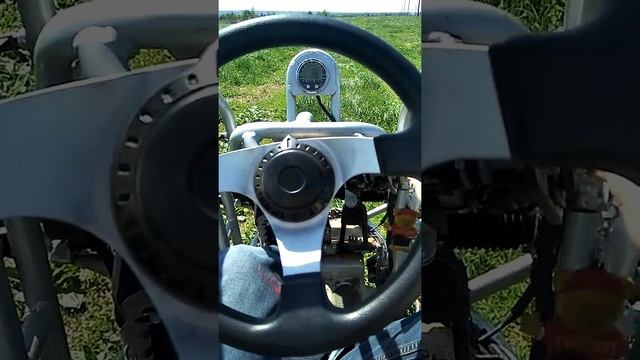 Багги PGO BugRider 250 Single seat смотреть онлайн