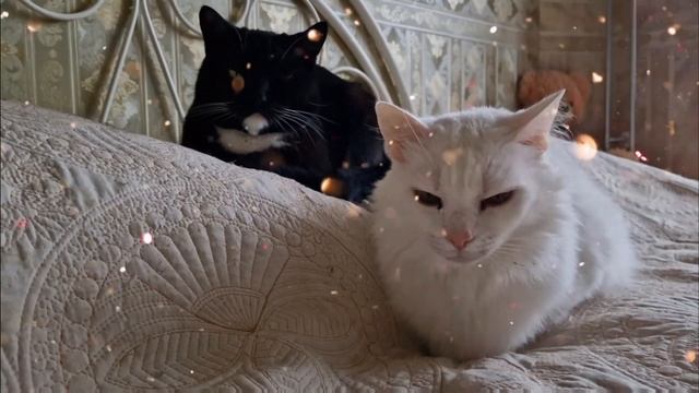 Путешествие на Мальту закончилось.Мы улетаем домой.Здравствуй холодная Эстония.Что привезти с Мальт смотреть онлайн