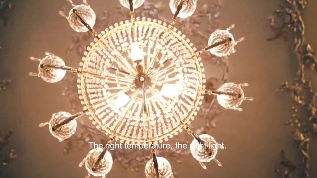 Avon | Rare Flowers Night Orchid | Frank Voelkl and Annie Buzantian #MeetThePerfumer смотреть онлайн