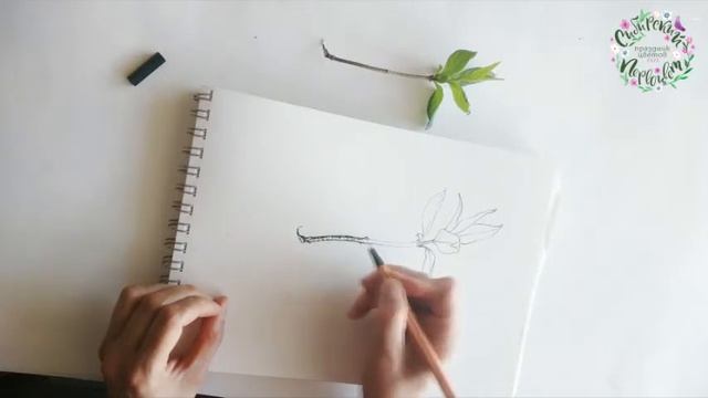 Мастер-класс по рисованию набросков в рамках праздника Сибирский первоцвет. смотреть онлайн