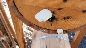 УНИКАЛЬНАЯ УМНАЯ КОЛОДА ДЮКАРЕВЫХ В РАБОТЕ, ВЕСЕННИЕ РАЗВИТИЕ.