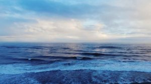 Христос в Псалмах ГЛАВА 3  Джерри Финнеман Псалом 21