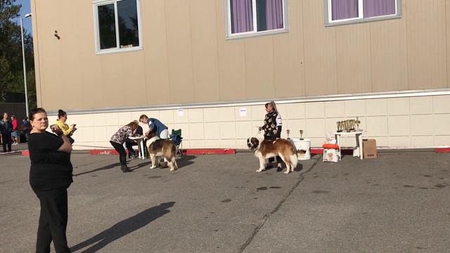 IMG 1577 смотреть онлайн