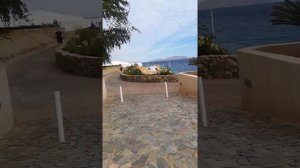 Краткий обзор отеля Domina coral bay oasis 5*