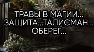 ТРАВЫ В МАГИИ... ЗАЩИТА...ТАЛИСМАН... ОБЕРЕГ...