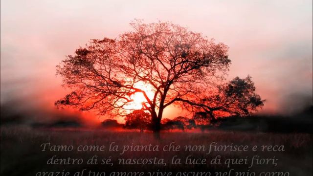 Sonetto XVII смотреть онлайн