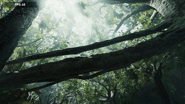 Shadow of the Tomb Raider AMD FX 9590 RTX 2070 Asus M5a97 r2.0 32 GB RAM Test смотреть онлайн