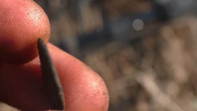 НАХОДКИ ПО СТАРИНЕ РАСКОПКИ С МЕТАЛЛОИСКАТЕЛЕМ НАХОДКИ КЛАДОИСКАТЕЛЕЙ КОП МОНЕТ 2021 смотреть онлайн