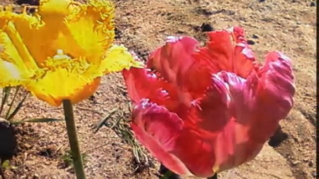 День рождения Ивана 15 лет.wmv смотреть онлайн