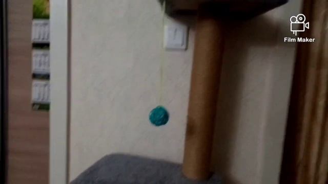 Покупки в интернет-магазине зоотоваров "Мир хвостатых". Честный отзыв о товаре. Игрушки Тиши. смотреть онлайн