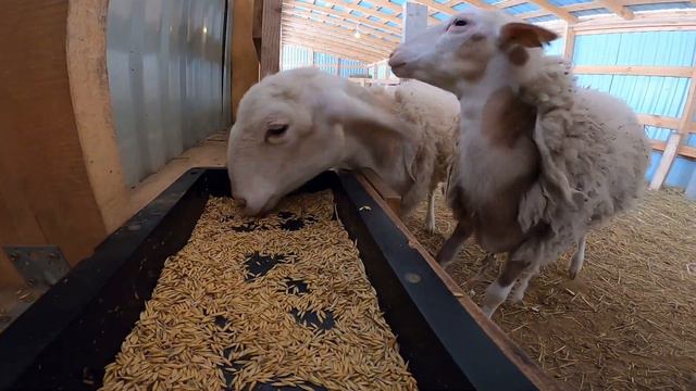 Видео без названия ) [Жизнь в деревне] смотреть онлайн