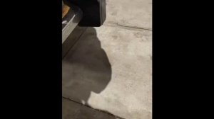 Почему при заводе в холод ВАЗ 2106 плавают обороты и глохнет